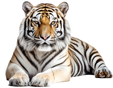 ClassKaplan5 ClassKaplan5